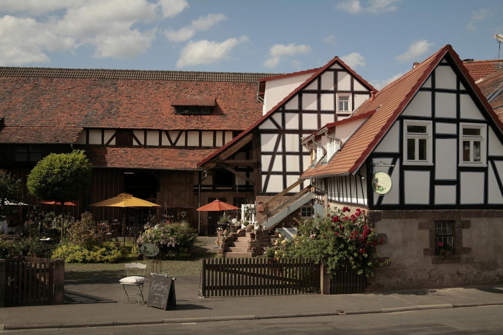 Werts Hof Ferienwohnen Villa Rauschenberg Eksteriør bilde